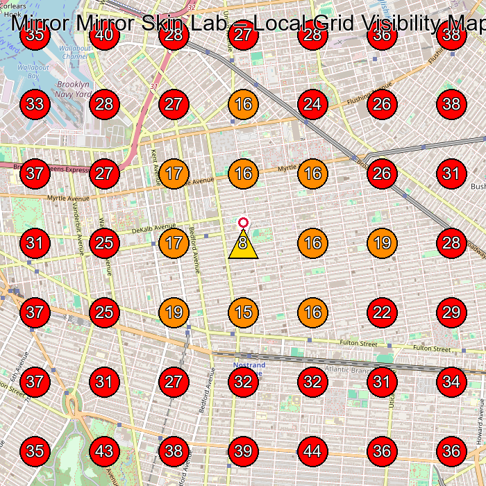 Mirror Mirror Skin Lab GeoGrid visibility map for Medical Spa in Brooklyn